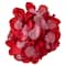 12 Pack: Red Decorative Rose Petals by Celebrate It&#x2122; Occasions&#x2122;